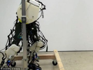 科学家最新研制首款超生物精确行走机器人