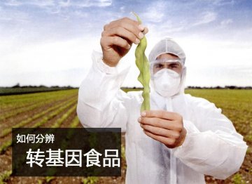 如何分辨转基因食品