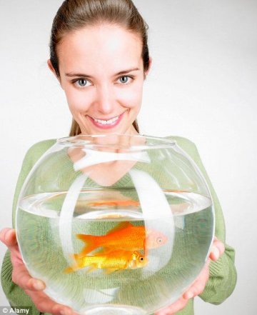 研究证实现代生活方式蚕食人的记忆力