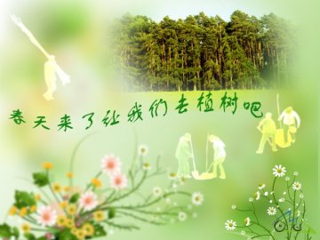 盘点植树对健康的五大好处