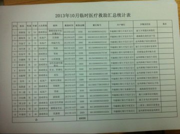 2013年10月临时医疗救助汇总统计表