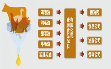 “地沟油”是如何“达标”的？（热点解读）
