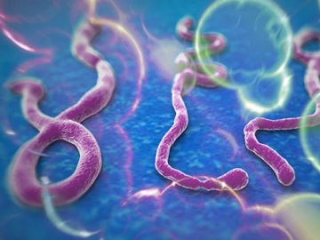 全球“反攻”埃博拉，新药已经上路