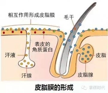 别等到皮肤真正出现不可逆的伤害时才开始后悔