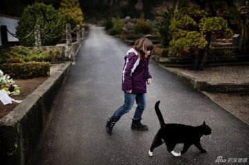 39.Vibe离世后，Laerke在墓地跟一只猫在玩