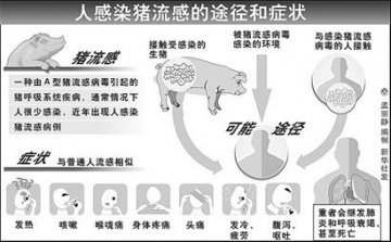 科普：何为猪流感，能否人际传染，有何预防措施？