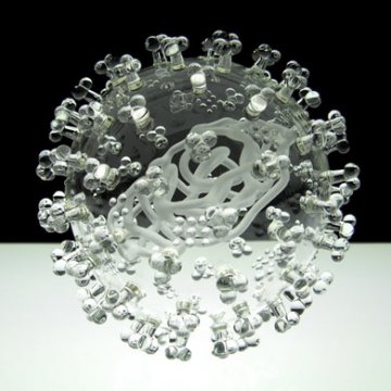 英国艺术家制作玻璃雕塑展示致命病毒细菌