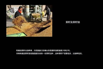 如何分辨转基因食品