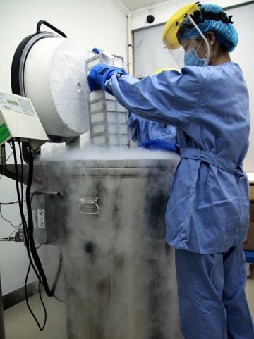 探秘人类精子银行 捐精者95%是大学生