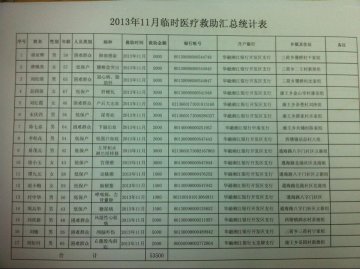 2013年11月临时医疗救助汇总统计表