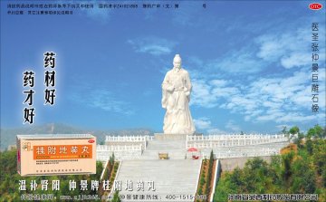 桂附地黄丸-官方高清创意广告(豫药广审(文)第2014070084号)