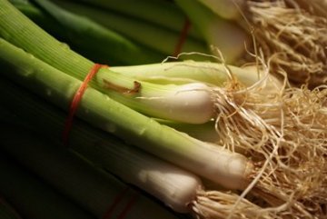 辛辣食物吃法：葱类清炒 大蒜生吃更有效