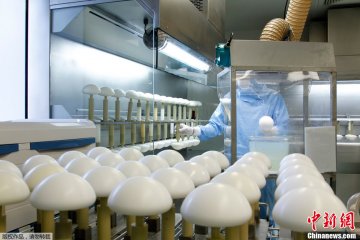 技术人员正在制作硅胶乳房填充物