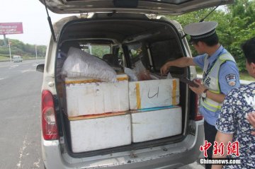 江西吉安截获面包车 非法运输200多只人体胎盘