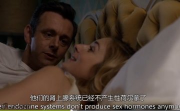 肾上腺系统产生性激素
