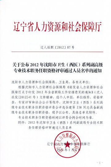 关于公布2012年沈阳市卫生（西医）系列副高级专业技术职务任职资格评审通过人员名单的通知