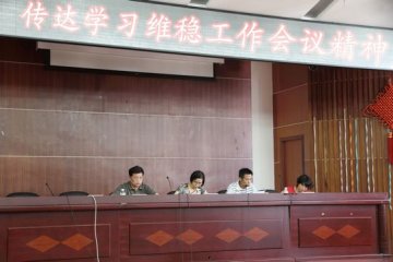 省食品药品检验研究院传达学习维稳工作会议精神