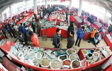 中国中药材迈入指数时代年总产值增速超过20%