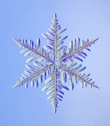 绝美雪花奇妙世界：完美对称独一无二