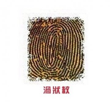 右手食指透露你的爱情秘密