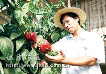 “奥运蔬菜”好味道！