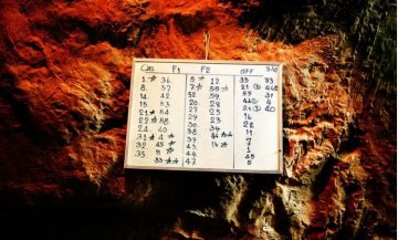 两性探秘：口述变性人如何过性生活