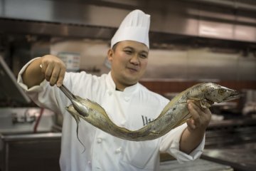 带鱼