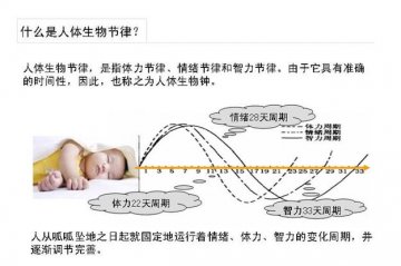 人体节律与生男生女有关？