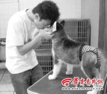 为免小狗遭性骚扰为其穿贞操裤图