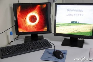 实拍人类精子捐赠全过程