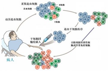 中华骨髓库向患者收费两万 称用于支付捐献者
