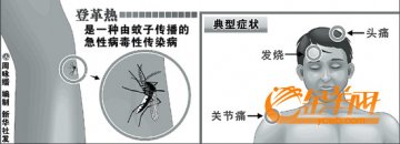 穗现今年首宗登革热 海珠三人成疑似病例