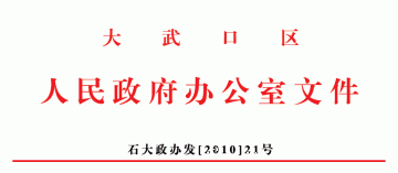 关于印发《大武口区新型农村合作医疗调整方案》的通知