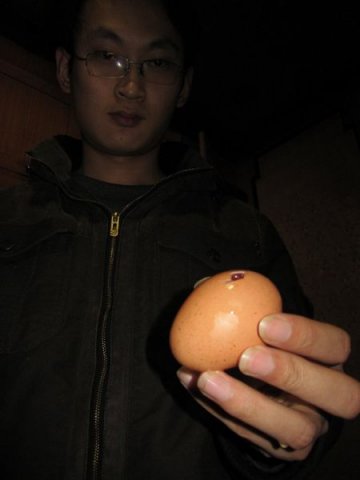 山东现“橡皮鸡蛋”蛋黄能弹起20厘米