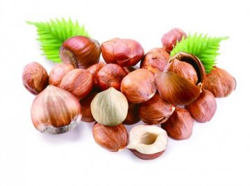 盘点：十大健康坚果排行