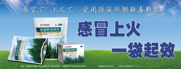 银翘解毒颗粒-官方高清创意广告(粤药广审(文)第2014050268号)