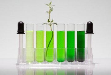 经前综合症的治疗10：草药提取物