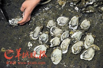 生蚝放心否？海产品质量信息发布仍需完善