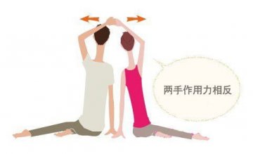 肋骨延长式