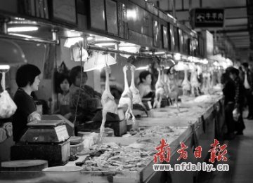 粤正加速探讨H7N9早期治疗药物 市民勿滥服板蓝根