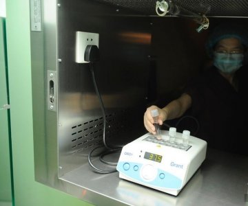 二胎新政或唤醒冷冻胚胎技术 催生“技术二孩”