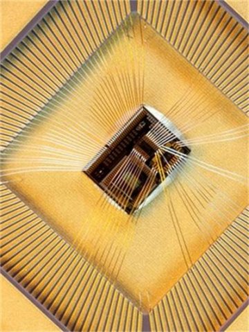 英科学家开发“减肥芯片” 3年内或可用于人体