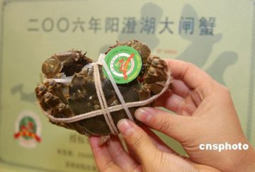 相关部门正调查大闸蟹致癌说 近期公布结果