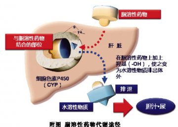 另辟蹊径，水溶性他汀成 “最佳搭档”