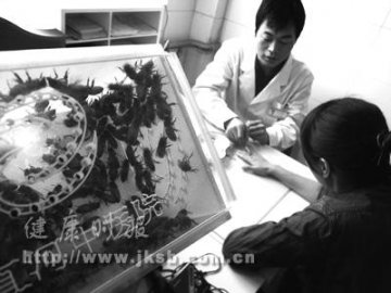 北京首家蜂疗医院日前开业