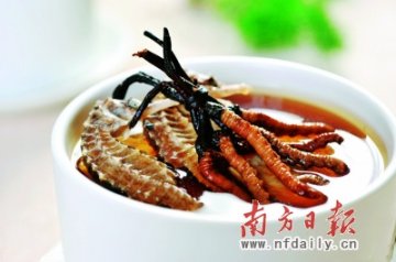 虫草价格已是黄金两倍 专家称营养价值等于蘑菇