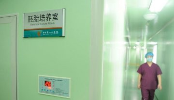 二胎新政或唤醒冷冻胚胎技术 催生“技术二孩”