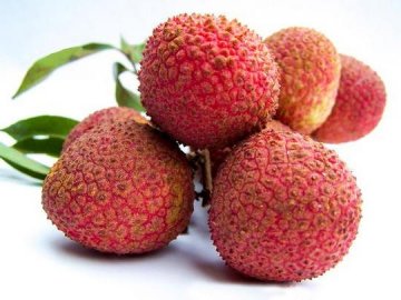 军医提醒：鲜红水灵的荔枝未必好