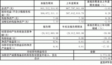 贵州益佰制药股份有限公司2005年一季度报告（节录）
