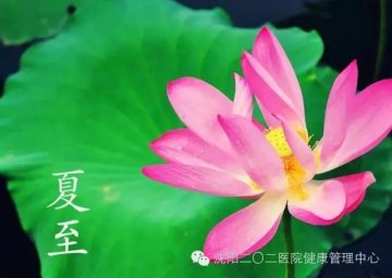 今日夏至，牢记13个养生常识